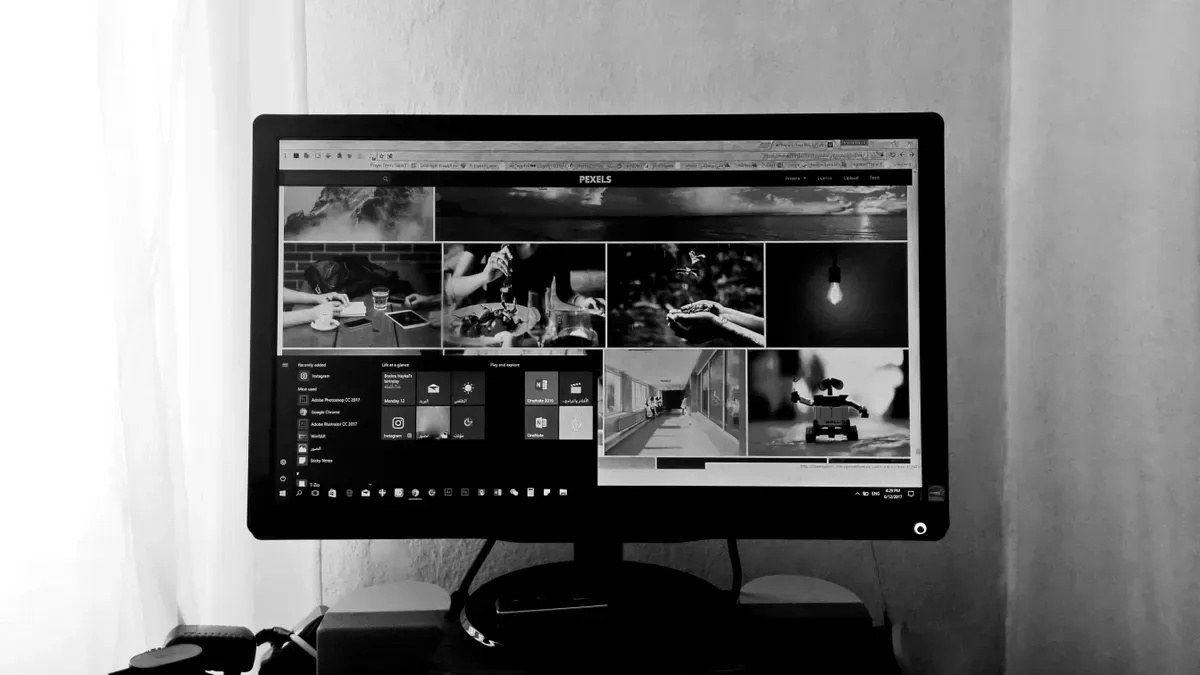 monochrome LCD display
